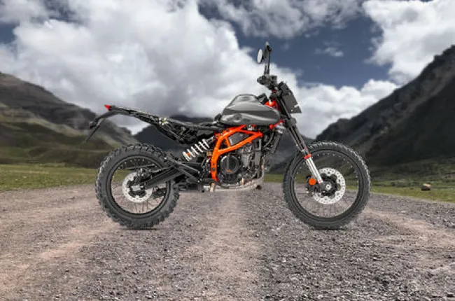 390 Enduro R