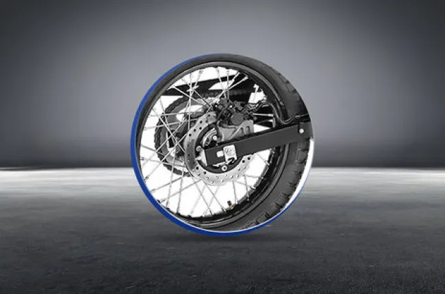 XPulse 210 Rear Brake