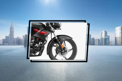 Glamour Front Mudguard & Suspension
