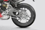 Panigale V2 Rear Wheel