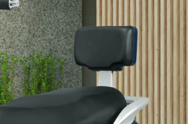 V2 Pillion Backrest