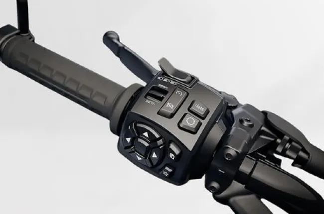 Sportster S Turn Indicator Switches