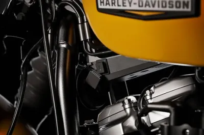 Street Bob Riding: Front View