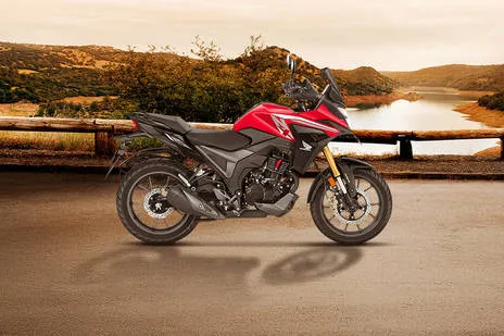 Side Profile View (Right)