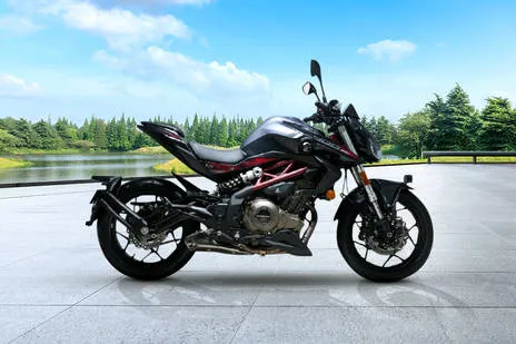 Side Profile View (Right)