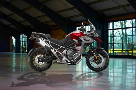 Side Profile View (Right)