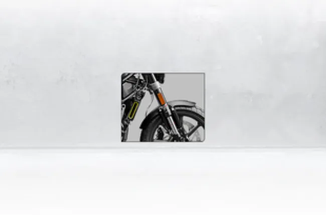 Svartpilen 201 Front Mudguard & Suspension