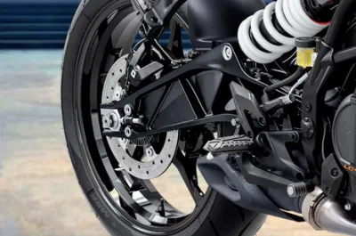 250 Duke Rear Brake