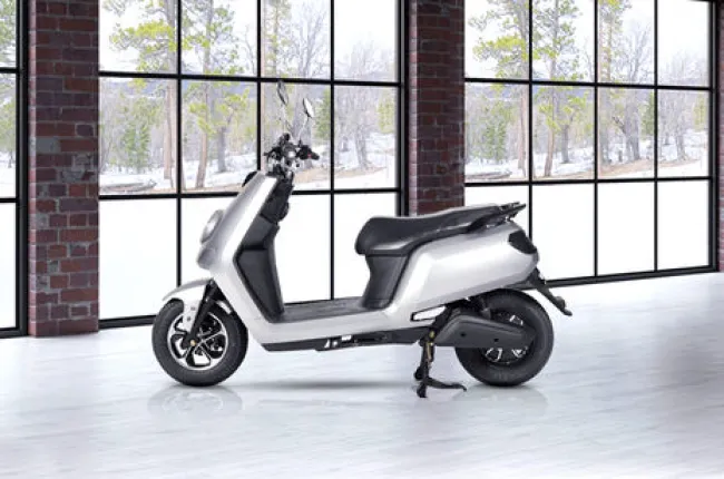 Glob Side Profile View (Left)