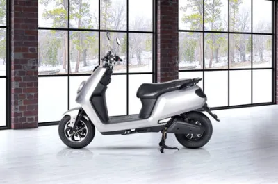 Glob Side Profile View (Left)