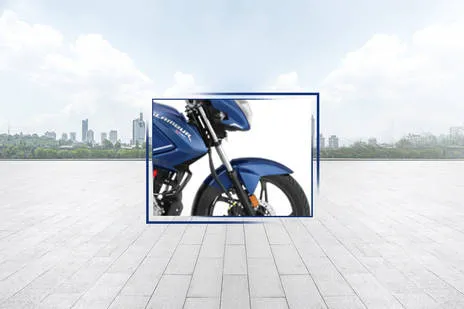 Front Mudguard & Suspension