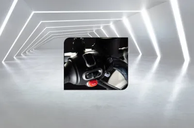 Pony Turn Indicator Switches