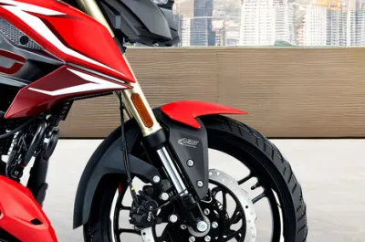 Pulsar N250 Front Mudguard