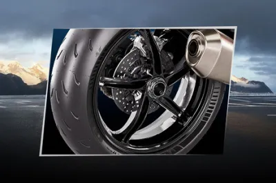 1390 Super Duke R Rear Brake