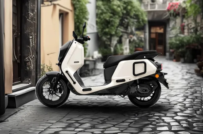 Indie Side Profile View (Left)