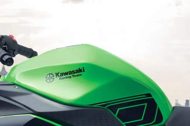 Ninja 300 Fuel Tank