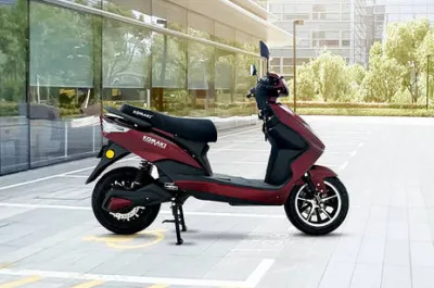 LY Side Profile View (Right)
