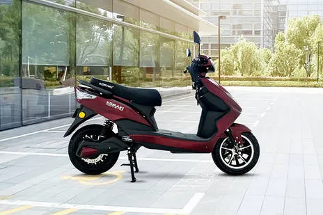 Side Profile View (Right)