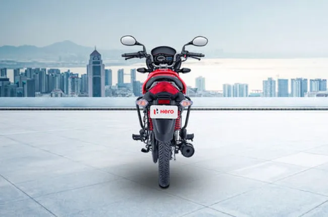 Passion Plus Rear View