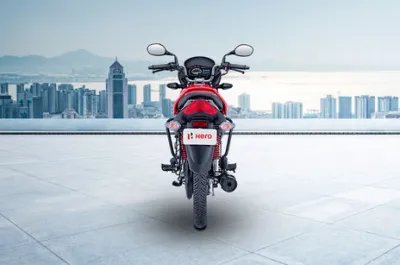 Passion Plus Rear View