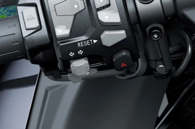 Ninja H2 SX Turn Indicator Switches