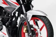 Apache RTR 160 Front Suspension
