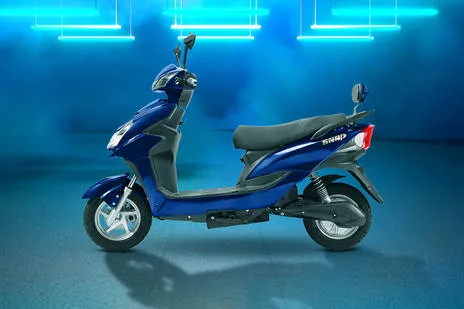 Side Profile View (Left)