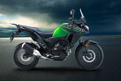 Side Profile View (Right)