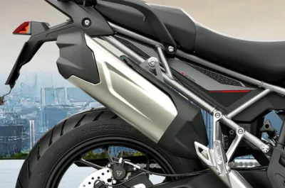 Tiger 900 Exhaust (Endcan)
