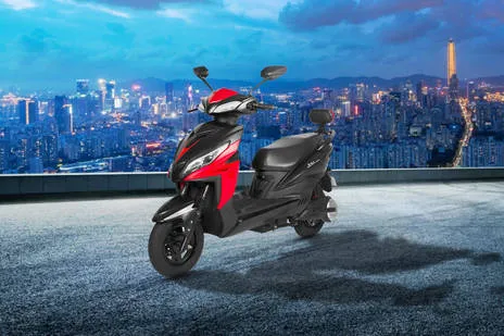 Side Profile View (Right)