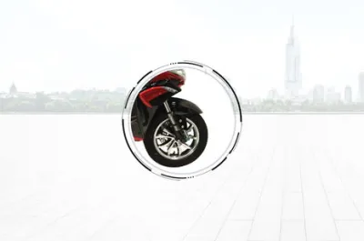 PraisePro Front Tyre