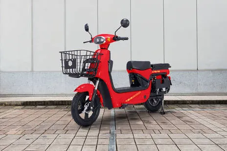 Side Profile View (Right)