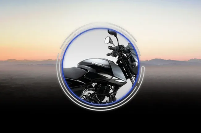 Pulsar 125 Fuel Tank (Right)