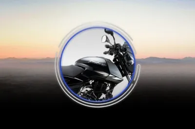 Pulsar 125 Fuel Tank (Right)