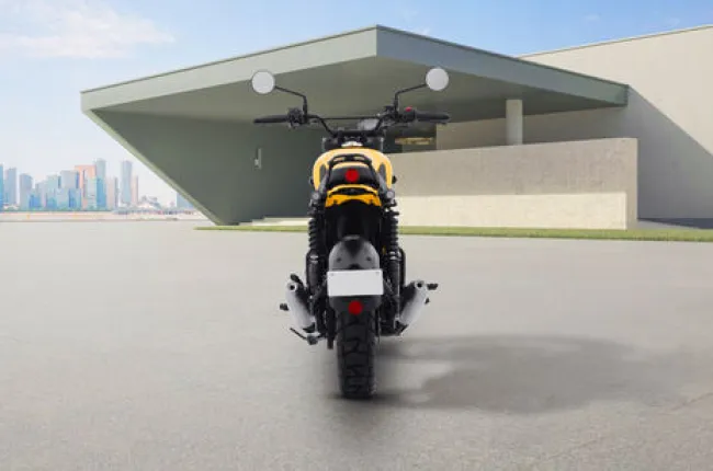 Scrambler (2022-2025) Rear View
