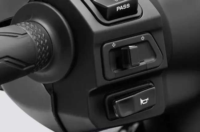 RayZR 125 Fi Hybrid Horn