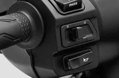 RayZR 125 Fi Hybrid Horn
