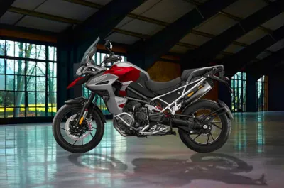 Tiger 1200 Side Profile View (Left)