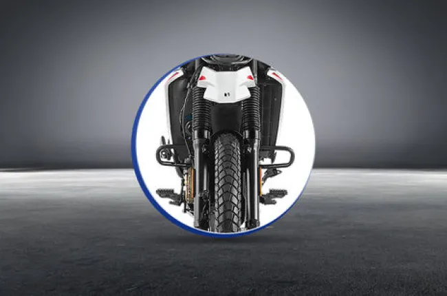 XPulse 210 Leg Guard