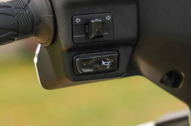 e Access  Horn