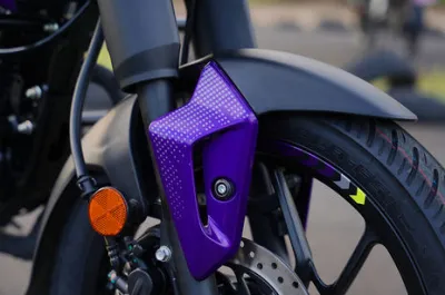 Pulsar N125 Front Mudguard