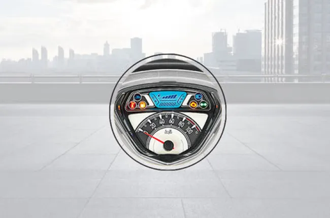 Pleasure Plus Speedometer