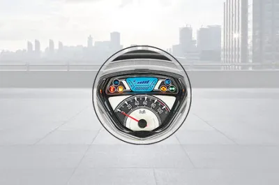 Pleasure Plus Speedometer