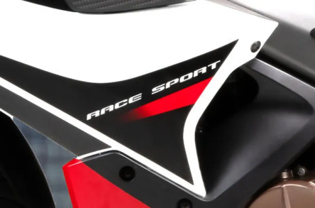 Pulsar RS200 Model Badge