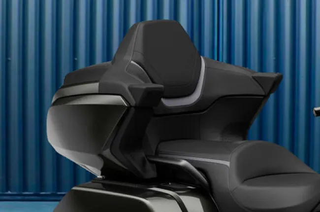 Gold Wing Back Rest View