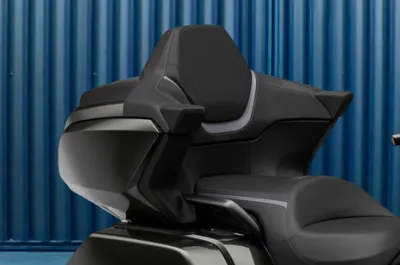 Gold Wing Back Rest View