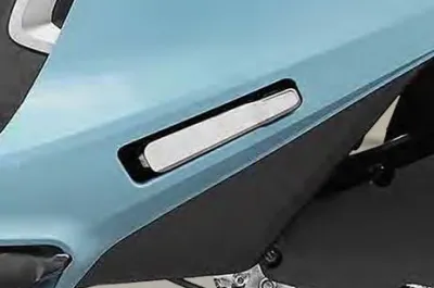 Activa e Rear Footpeg