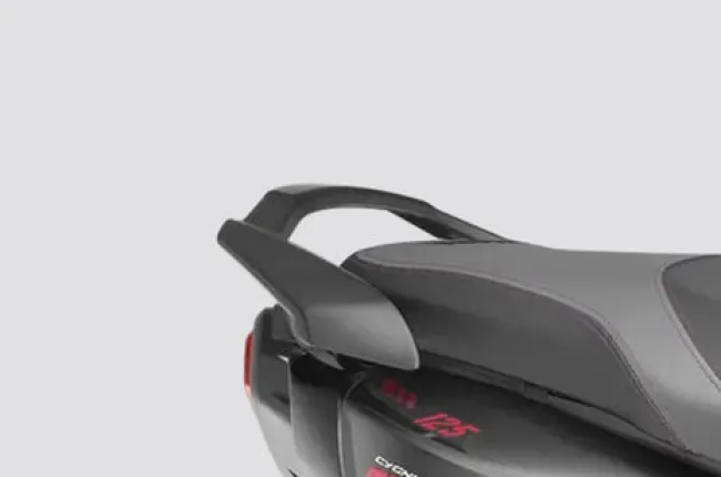 RayZR 125 Fi Hybrid Pillion Grab Rail