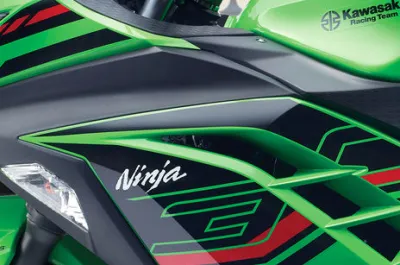 Ninja 300 Model Name