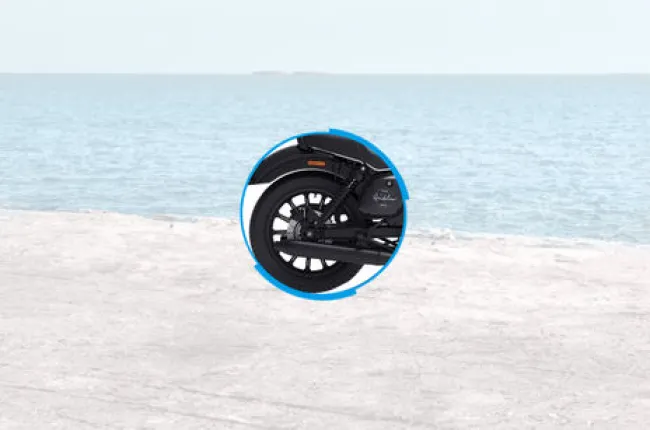 2024 Roadster Rear Brake